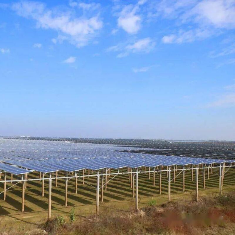 독특한 파일 디자인과 사전 조립된 부품으로 강한 바람과 눈 하중 저항을 제공하는 지상 태양광 장착 브래킷